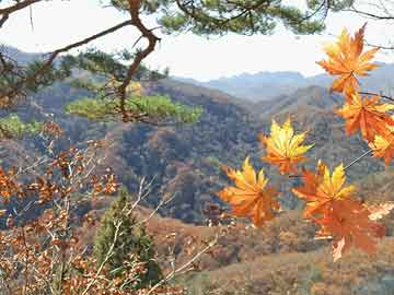 苹果平板怎么设置(苹果平板怎么设置)